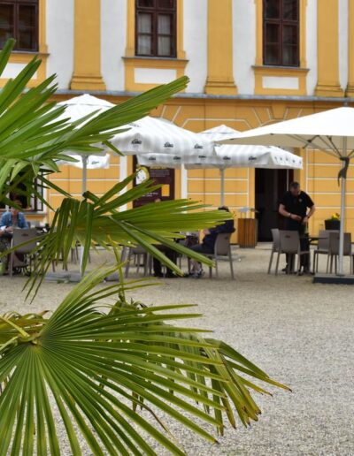 Barevný svět Třebíčsko - barevny-svet-trebicsko.eu - kavárna Splněný sen